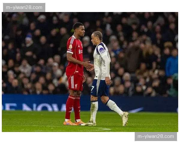 专家圆桌：谁将赢得本赛季英超金手套奖？拉亚与阿利松领跑