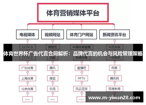 体育世界杯广告代言合同解析：品牌代言的机会与风险管理策略