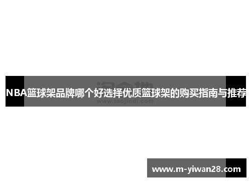 NBA篮球架品牌哪个好选择优质篮球架的购买指南与推荐