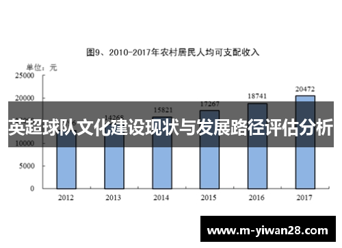 英超球队文化建设现状与发展路径评估分析