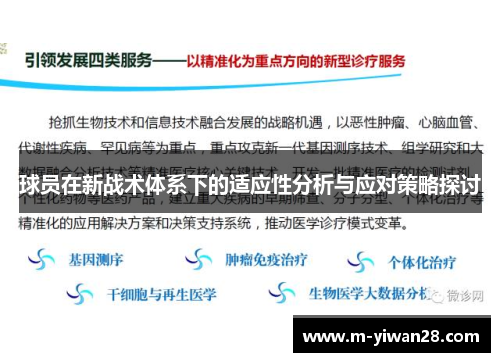 球员在新战术体系下的适应性分析与应对策略探讨