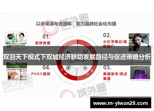 双羽天下模式下双城经济联动发展路径与促进策略分析