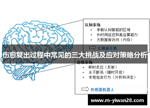 伤愈复出过程中常见的三大挑战及应对策略分析