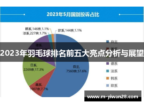 2023年羽毛球排名前五大亮点分析与展望