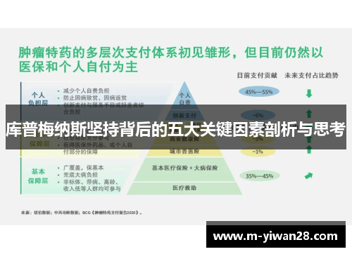 库普梅纳斯坚持背后的五大关键因素剖析与思考