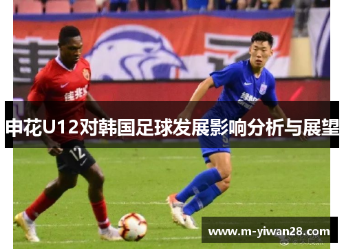 申花U12对韩国足球发展影响分析与展望