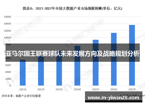 亚马尔国王联赛球队未来发展方向及战略规划分析