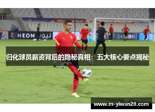 归化球员薪资背后的隐秘真相：五大核心要点揭秘
