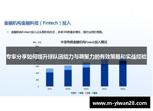 专家分享如何提升球队团结力与凝聚力的有效策略和实战经验