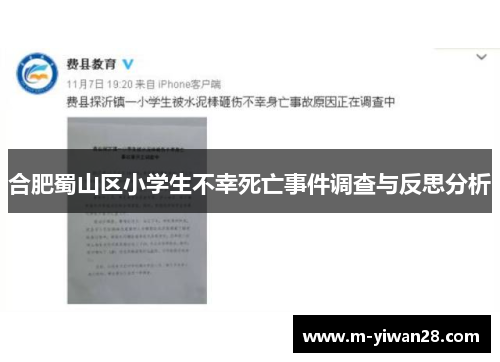合肥蜀山区小学生不幸死亡事件调查与反思分析