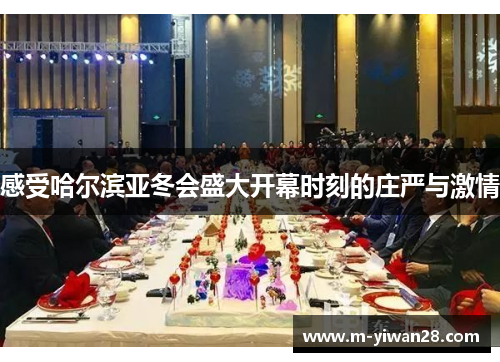 感受哈尔滨亚冬会盛大开幕时刻的庄严与激情