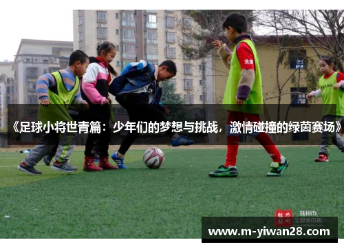 《足球小将世青篇：少年们的梦想与挑战，激情碰撞的绿茵赛场》